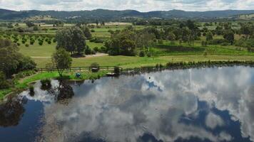 lake and field with trees in Australia video