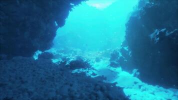 Exploring the tranquil underwater world with sunlight filtering through rocks video