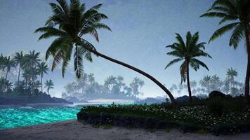 Serene tropical beach at dusk with swaying palm trees and gentle waves video
