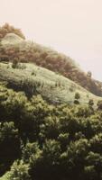Aerial top view of rainforest ecosystem and healthy environment video