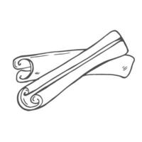 Cinnamon sticks hand drawn. Textured whole cinnamon pods in doodle style. Isolated illustration. vector