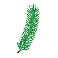 Beautiful thick pine branch on white background, flat, isolate on white vector