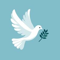 White dove bird with olive branch. Symbol of peace and harmony vector