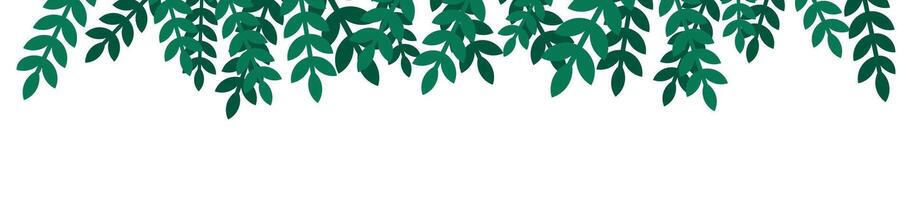 Decorative Green Branches in , Ideal for Celebrations and Holiday Designs vector