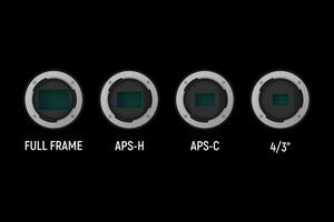 Full frame and crop image sensor set. Part of camera. vector
