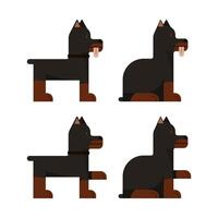 Set of flat icons with doberman. Pedigree dog. Sitting and standing. vector