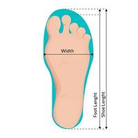 Foot size measurements. Footstep length and width measure vector
