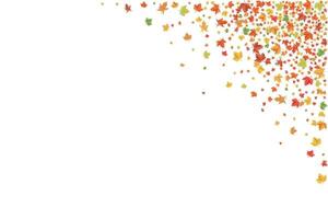 Maple Leaves banner. Autumn frame. vector