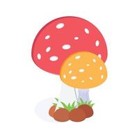 Large red mushroom, common in forests and wild areas vector