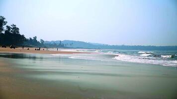 A Beautiful and Serene Beach View Featuring Gentle Waves and a Lush, Vibrant Background. Stock Clip video