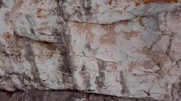 The Textured Surface of a Weathered Rock Encrusted with Colorful Lichen and Moss Growth. Clip video