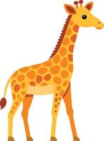 A giraffe standing on a white background vector