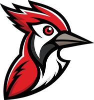 A red and black bird with a long beak vector