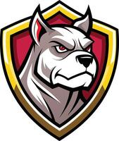 An angry pit bull dog mascot head on a shield vector
