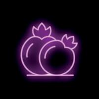 Neon icon of two tomatoes glowing purple on black background vector