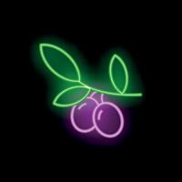 Glowing neon sign of two olives on branch with leaves on black background vector