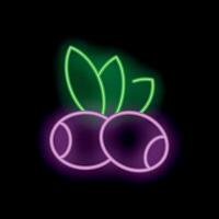 Neon sign representing two acai berries with leaves glowing on black background vector