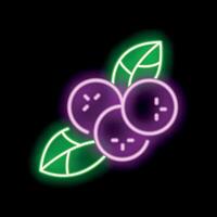 Neon sign showing three berries with leaves on black background vector