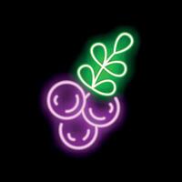 Neon sign representing a branch of redcurrant glowing on black background vector