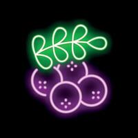 Glowing neon icon of freshly picked coffee beans with leaf vector