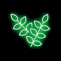 Green neon leaves branch glowing on black background vector