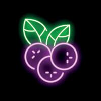 Neon sign showing three ripe coffee berries with leaves vector