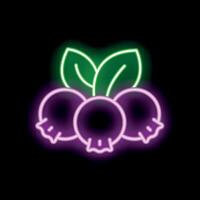 Neon icon of three blueberries with leaves glowing on black background vector