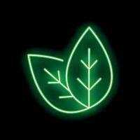 Green neon light showing two leaves icon on black background vector