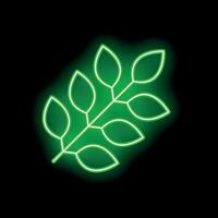 Green neon branch with leaves glowing on black background vector