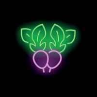 Neon sign showing two radishes with leaves on black background vector