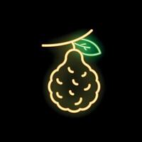 Neon yellow citron hanging from branch with leaf on black background vector