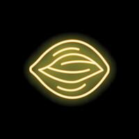 Glowing neon icon of cocoa bean pod for chocolate production vector
