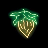 Glowing neon icon of a cocoa pod with leaves on black background vector