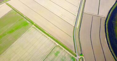 Unseeded plowed fields divided to plots by paths in spring video
