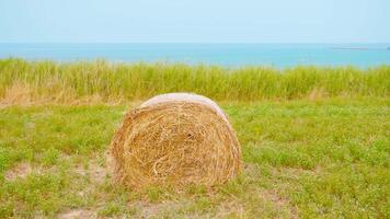 Yellow haystack in front of the ocean video