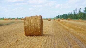 Yellow hay field with haystack video