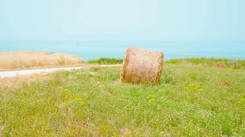 Hay ball on the green field in front of the sea video