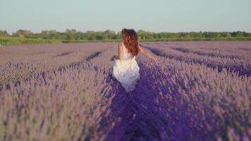 Girl runs between lavender fields video