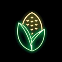 Neon sign of a corncob glowing on black background vector