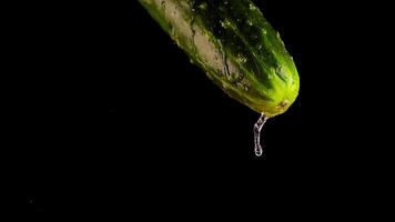 Drops of clear water fall down from fresh cucumber on black video