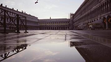 Empty St Mark square with buildings after rain in evening video