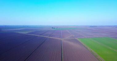 Plowed unseeded fields near terrain plot with early sprouts video