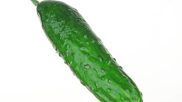 Large wet cucumber with small bumps turns around on white video