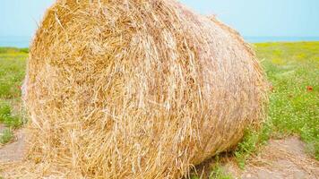 Haystack with hay on the green field in front of the sea video