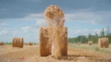 Girl throws hay into the sky in slow motion video