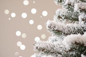 A Wintery Christmas Scene A Close up of a Snow Covered Pine Branch Shimmering with Lights Photo