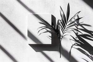 Modern Minimalist Design with Palm Leaf Shadows and Abstract Canvas photo