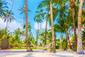 A hammock is set up between palm trees on a sandy beach photo