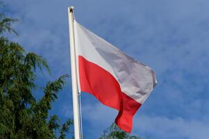 Polish flag waving proudly against a backdrop of clear blue sky and lush greenery in an idyllic landscape photo