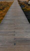 A wooden walkway leading through lush marshland at golden hour, inviting exploration and reflection. photo